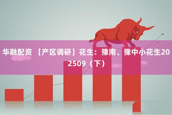 華融配資 【產(chǎn)區(qū)調(diào)研】花生：豫南、豫中小花生202509（下）