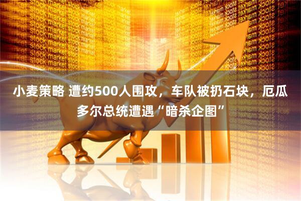 小麥策略 遭約500人圍攻，車隊被扔石塊，厄瓜多爾總統(tǒng)遭遇“暗殺企圖”