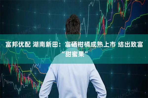 富邦優(yōu)配 湖南新田：富硒柑橘成熟上市 結(jié)出致富“甜蜜果”